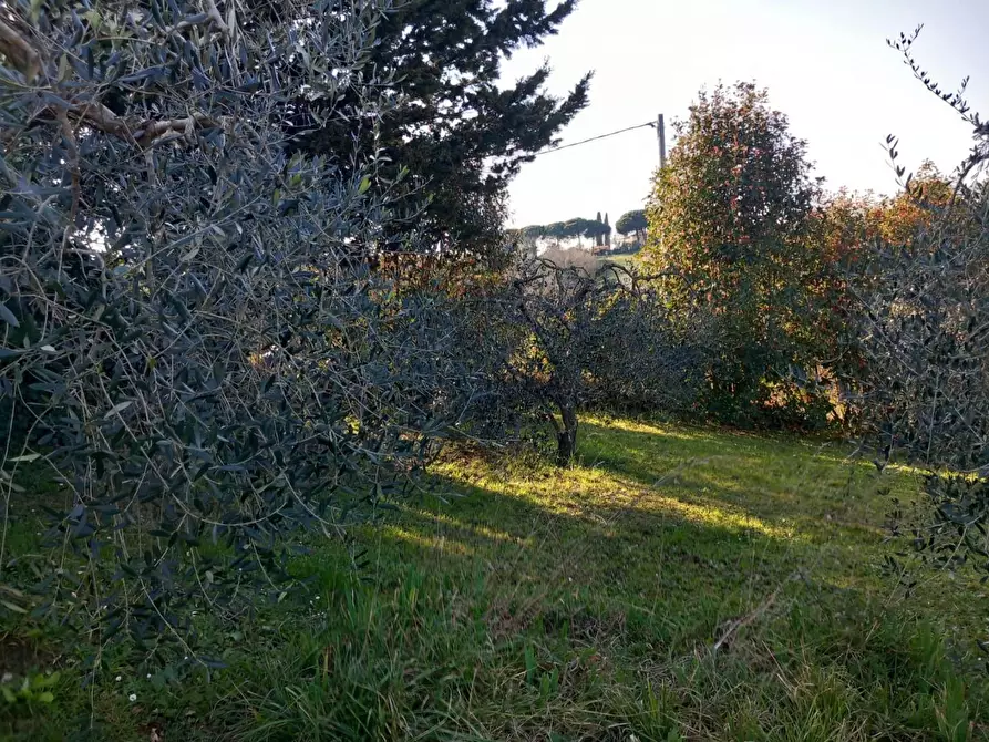 Immagine 16 di Rustico / casale in vendita  a Pisa