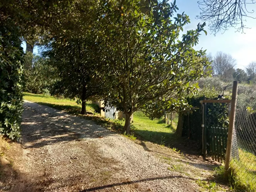 Immagine 35 di Rustico / casale in vendita  a Pisa