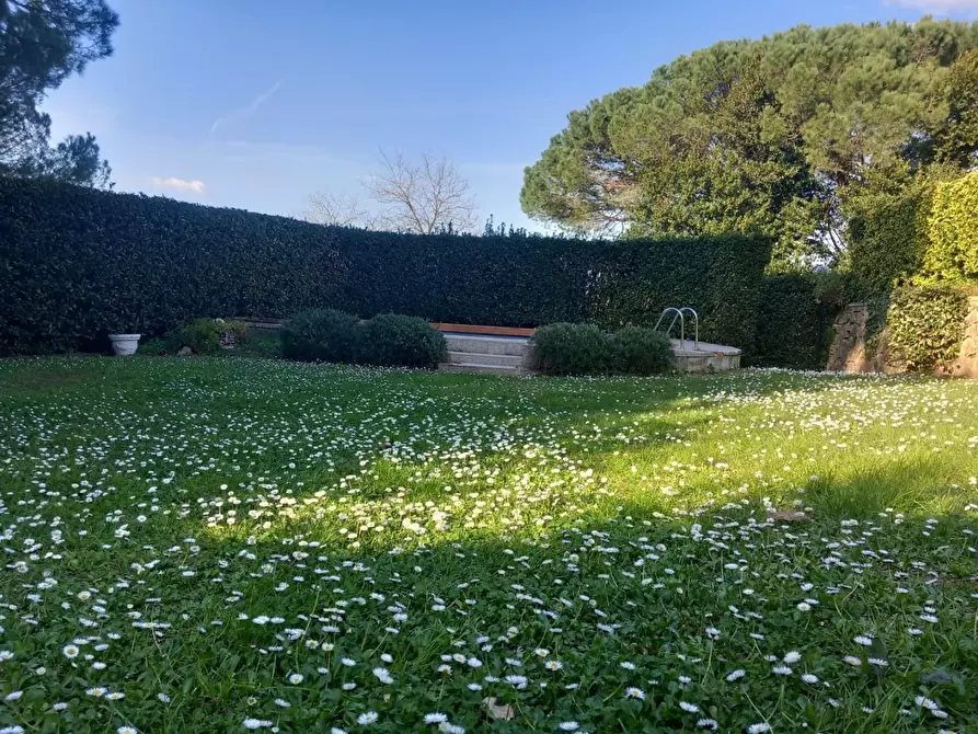 Immagine 15 di Rustico / casale in vendita  a Pisa