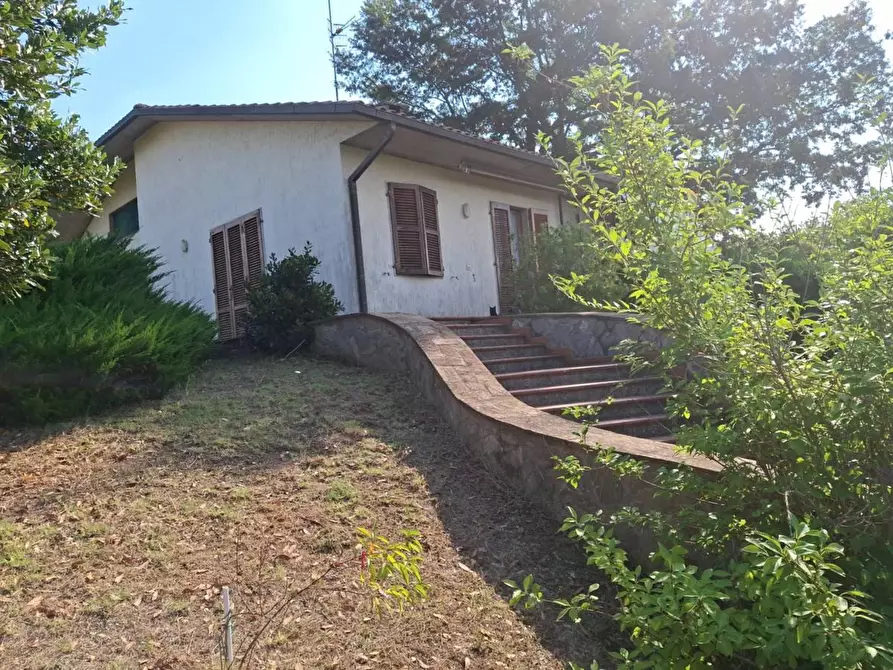 Immagine 2 di Villa in vendita  a Semproniano