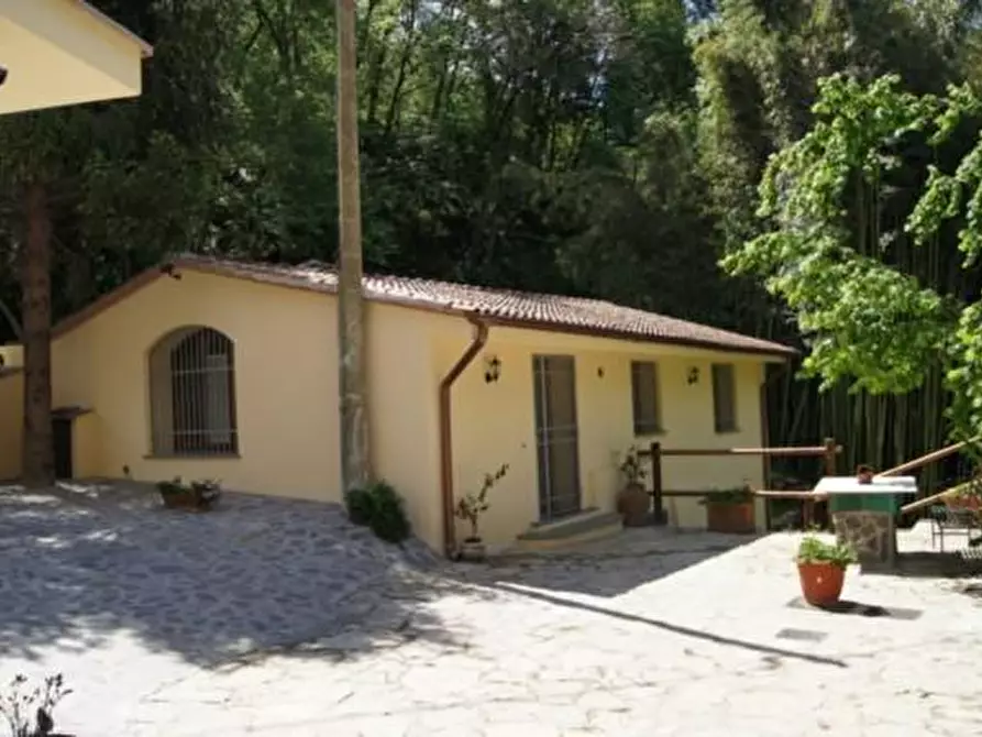 Immagine 37 di Casa colonica in vendita  a San Giuliano Terme