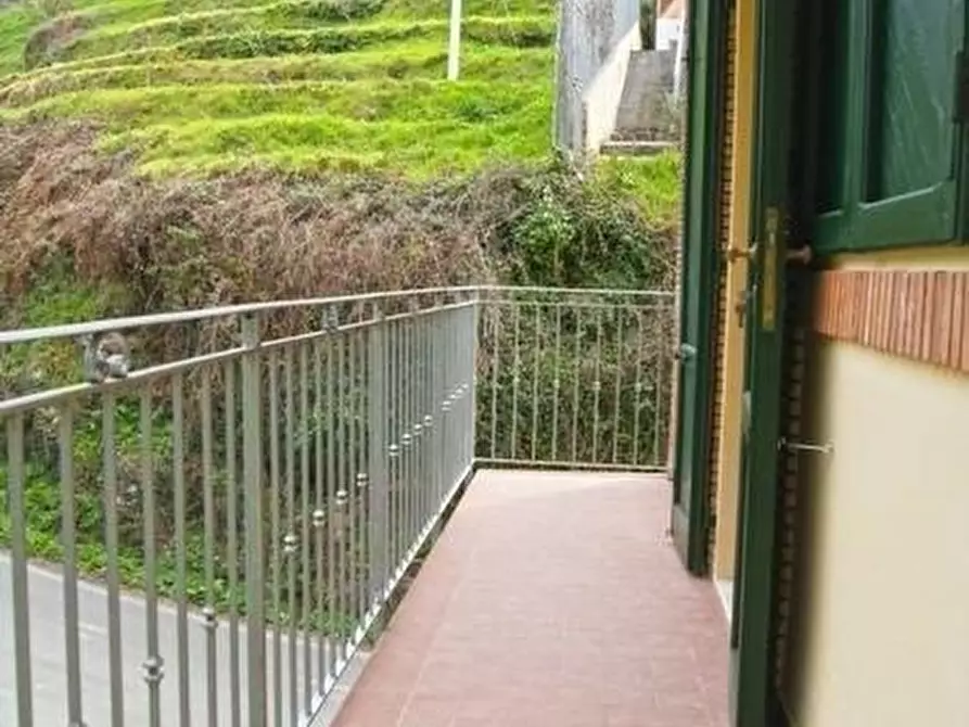 Immagine 29 di Casa colonica in vendita  a San Giuliano Terme