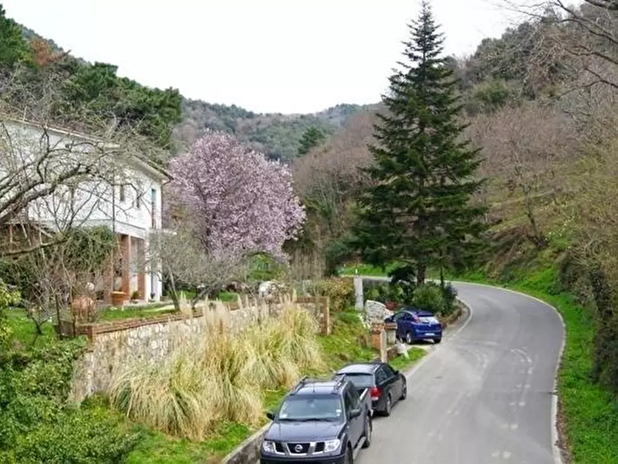 Immagine 25 di Casa colonica in vendita  a San Giuliano Terme