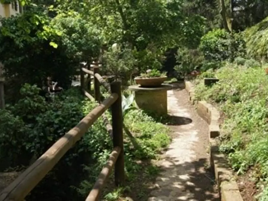 Immagine 32 di Casa colonica in vendita  a San Giuliano Terme