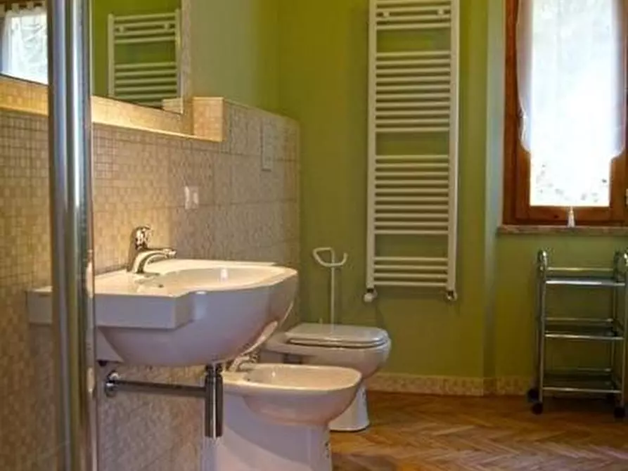 Immagine 23 di Casa colonica in vendita  a San Giuliano Terme