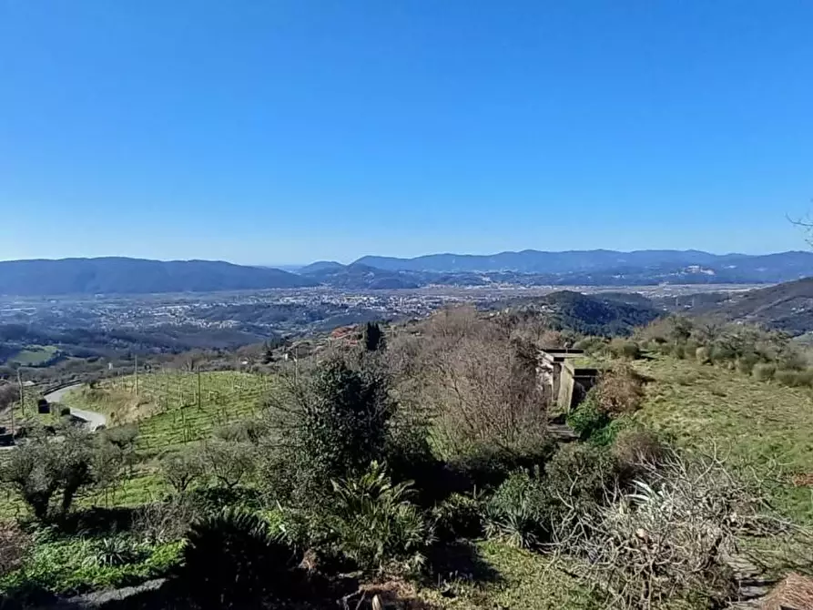 Immagine 41 di Casa semindipendente in vendita  a Fosdinovo