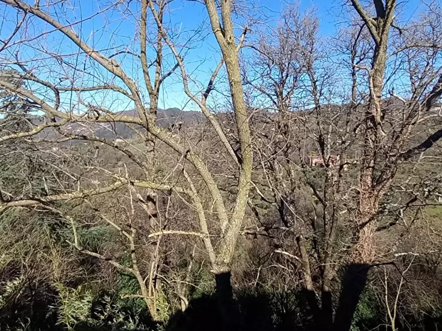 Immagine 44 di Casa semindipendente in vendita  a Fosdinovo