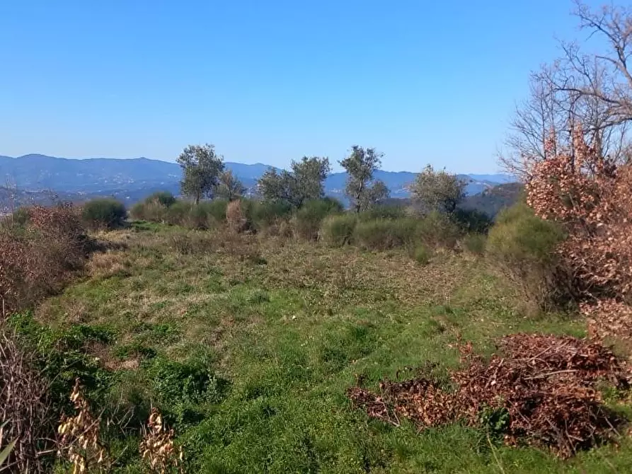 Immagine 45 di Casa semindipendente in vendita  a Fosdinovo