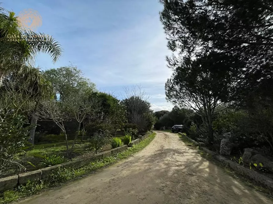 Immagine 4 di Rustico / casale in vendita  a Ruffano