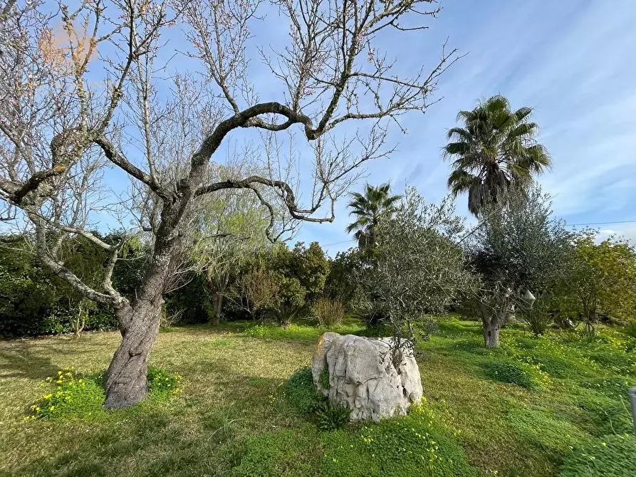 Immagine 8 di Rustico / casale in vendita  a Ruffano