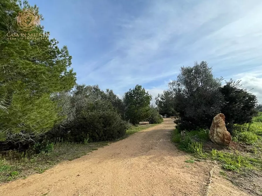 Immagine 26 di Rustico / casale in vendita  a Ruffano