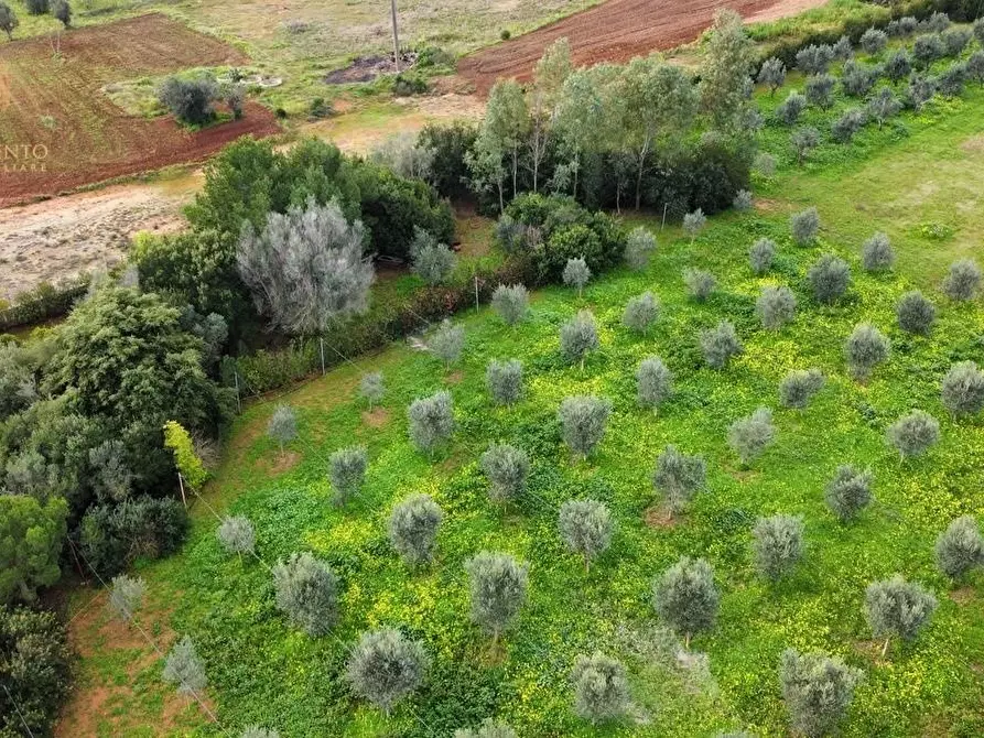 Immagine 59 di Rustico / casale in vendita  a Ruffano