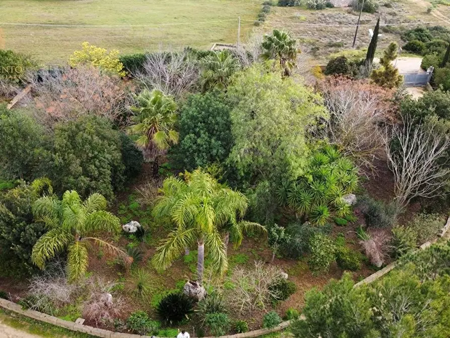 Immagine 57 di Rustico / casale in vendita  a Ruffano