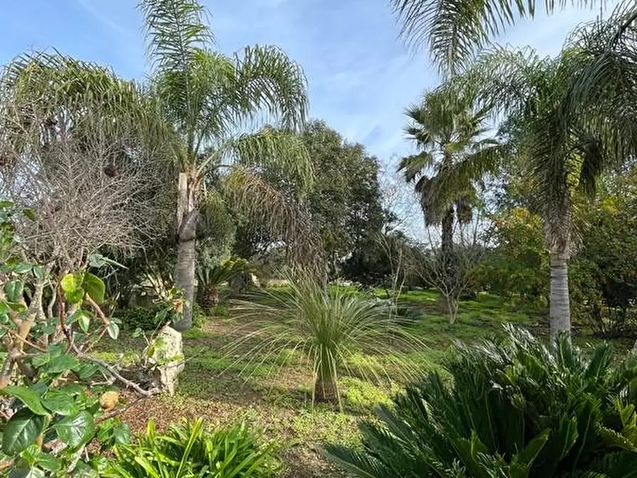 Immagine 17 di Rustico / casale in vendita  a Ruffano