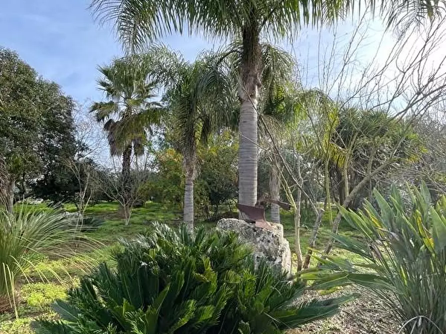 Immagine 16 di Rustico / casale in vendita  a Ruffano