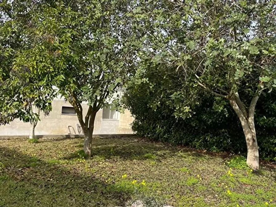 Immagine 14 di Rustico / casale in vendita  a Ruffano