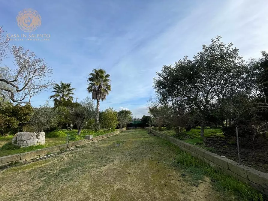 Immagine 5 di Rustico / casale in vendita  a Ruffano