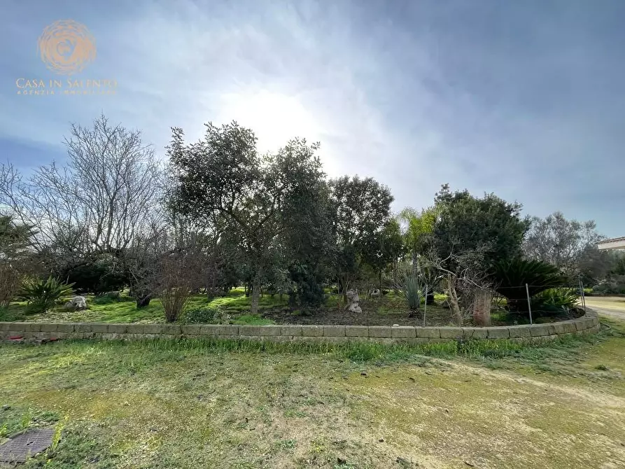 Immagine 9 di Rustico / casale in vendita  a Ruffano