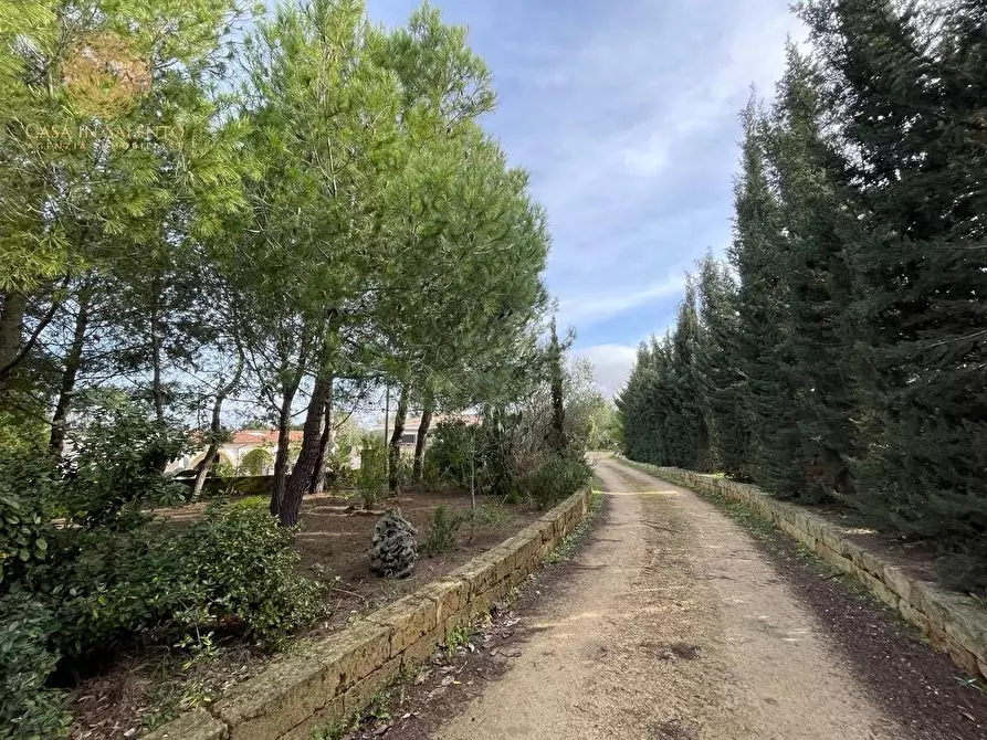 Immagine 25 di Rustico / casale in vendita  a Ruffano