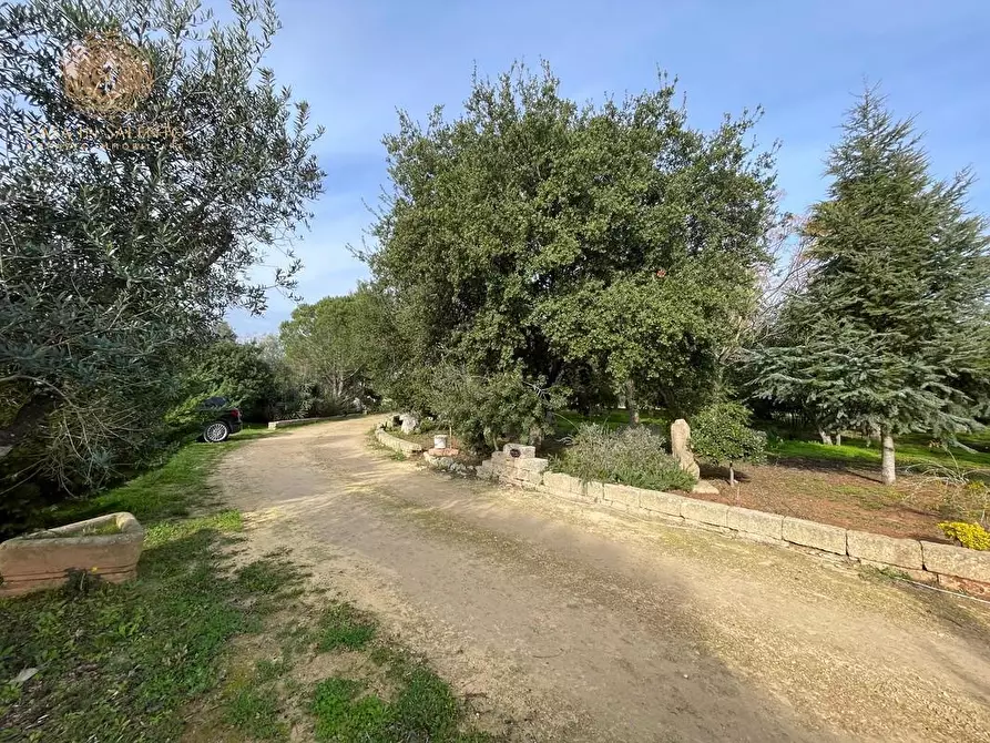 Immagine 20 di Rustico / casale in vendita  a Ruffano