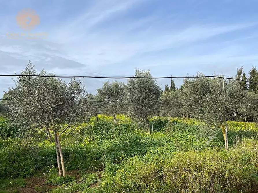 Immagine 22 di Rustico / casale in vendita  a Ruffano