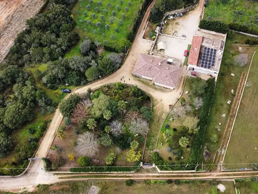 Immagine 62 di Rustico / casale in vendita  a Ruffano