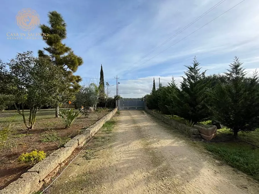 Immagine 18 di Rustico / casale in vendita  a Ruffano