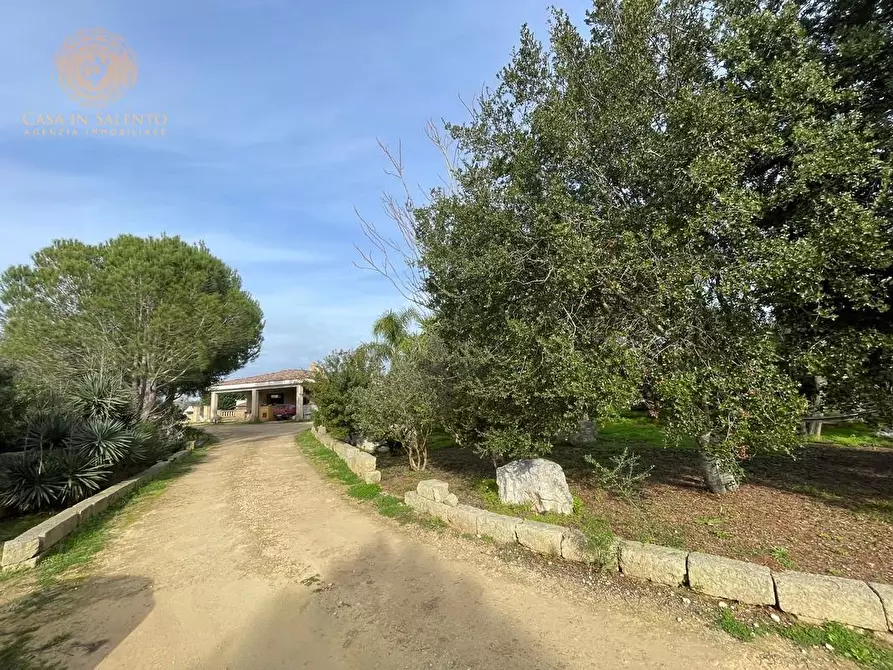 Immagine 21 di Rustico / casale in vendita  a Ruffano