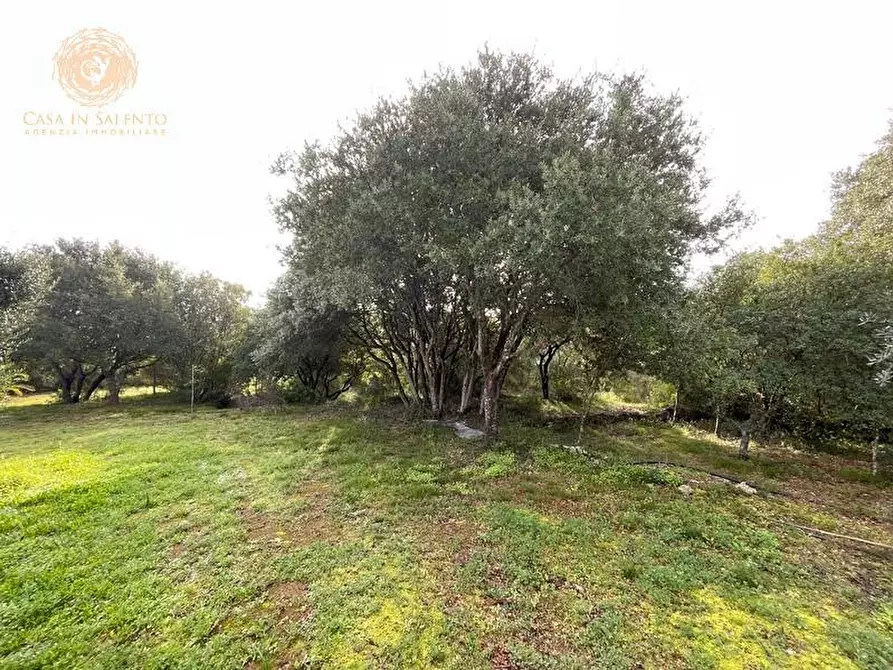 Immagine 19 di Rustico / casale in vendita  a Ruffano