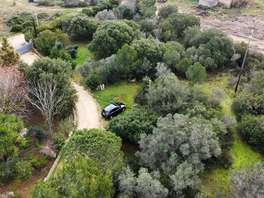 Immagine 58 di Rustico / casale in vendita  a Ruffano