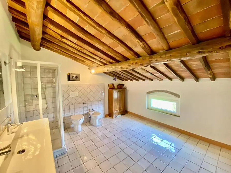 Immagine 23 di Casa colonica in vendita  a Capannori