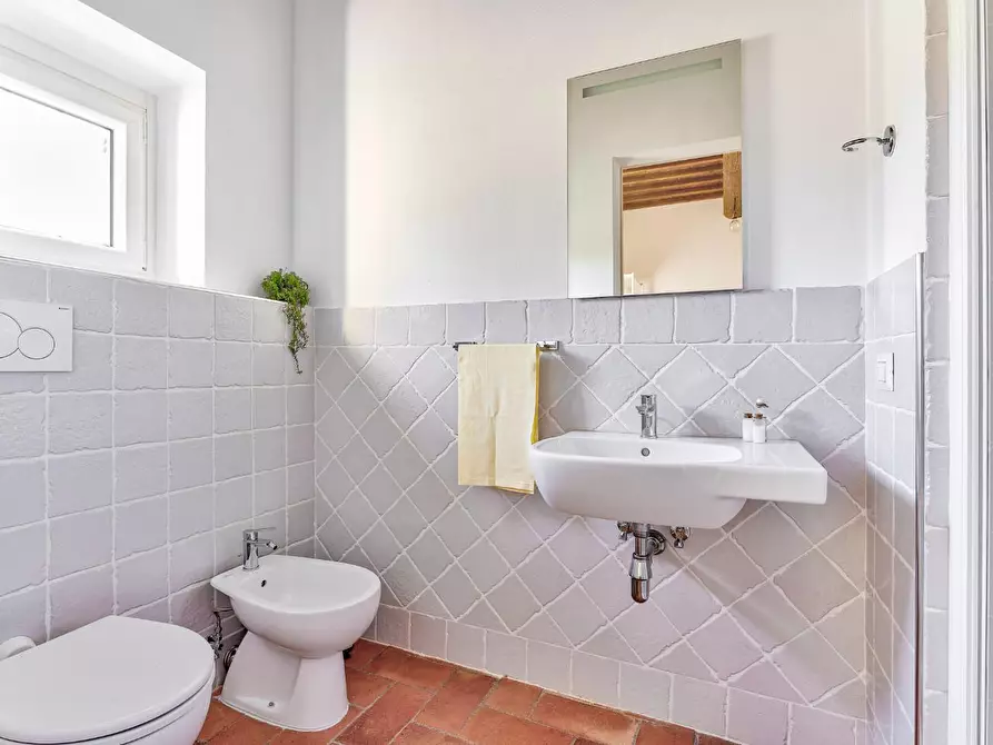 Immagine 8 di Casa colonica in vendita  a Capannori