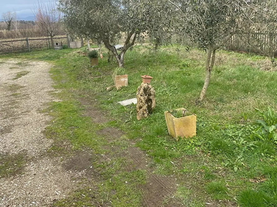 Immagine 3 di Villa in vendita  a Terricciola