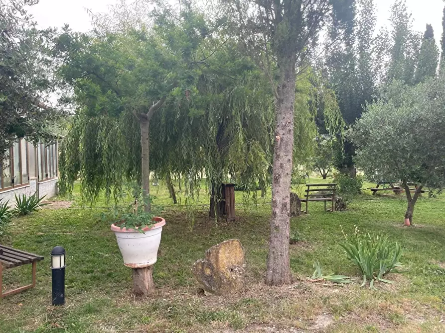 Immagine 12 di Villa in vendita  a Terricciola