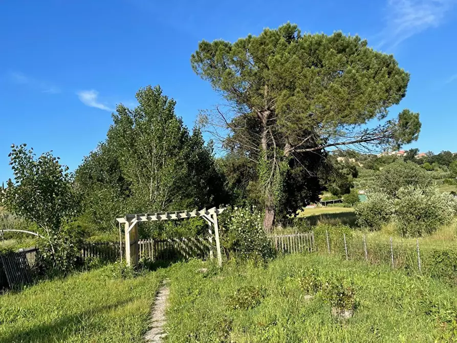 Immagine 6 di Villa in vendita  a Terricciola