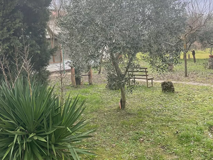 Immagine 4 di Villa in vendita  a Terricciola