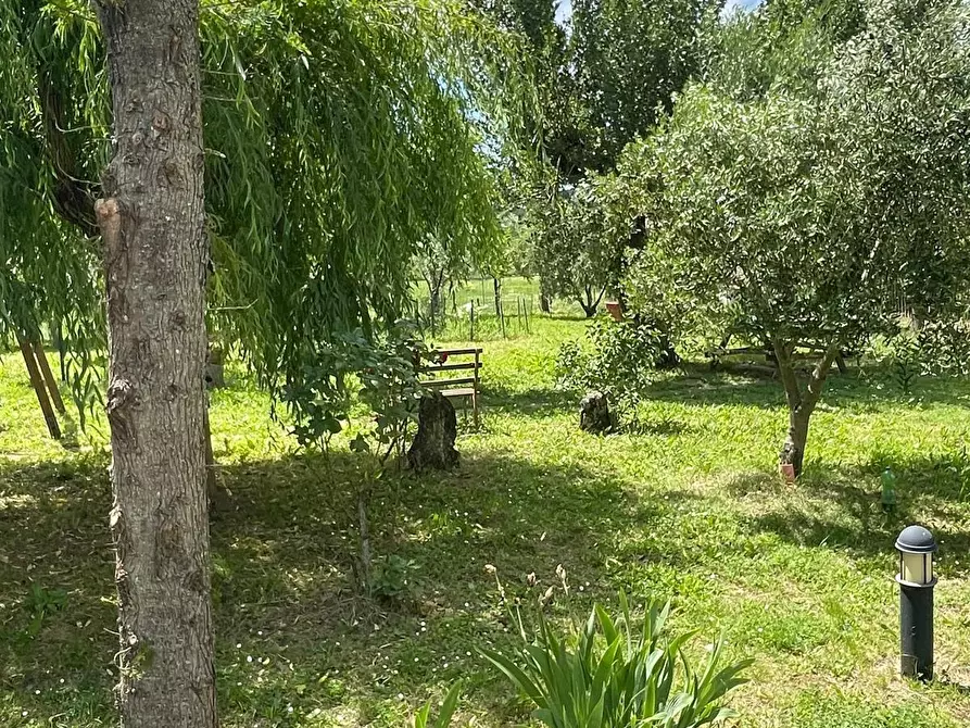 Immagine 5 di Villa in vendita  a Terricciola