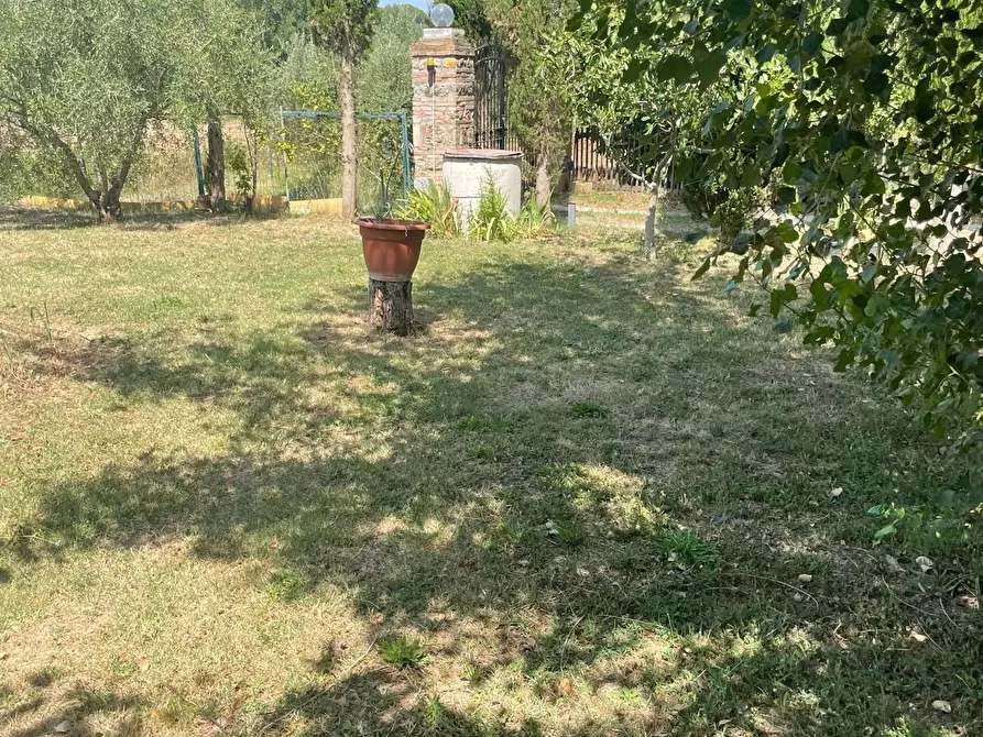 Immagine 11 di Villa in vendita  a Terricciola