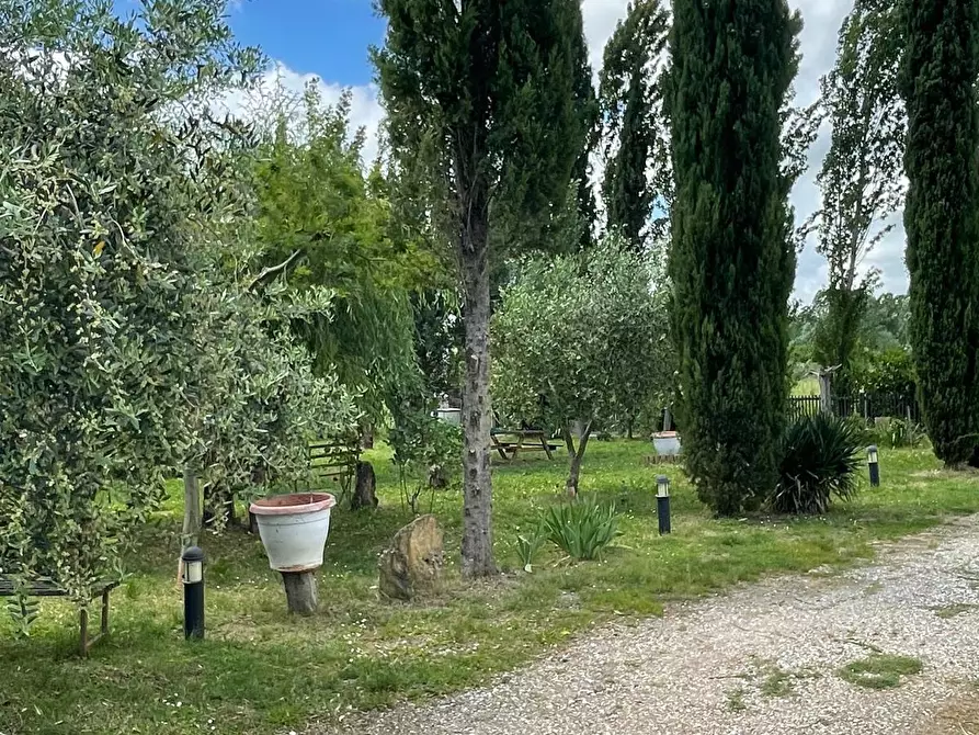Immagine 1 di Villa in vendita  a Terricciola