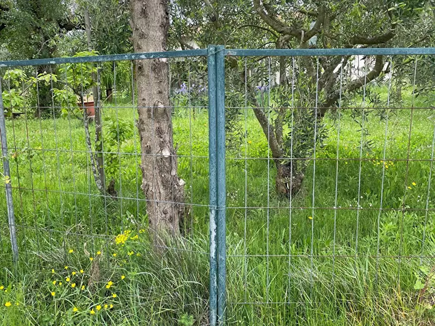 Immagine 9 di Villa in vendita  a Terricciola