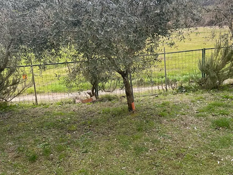 Immagine 2 di Villa in vendita  a Terricciola