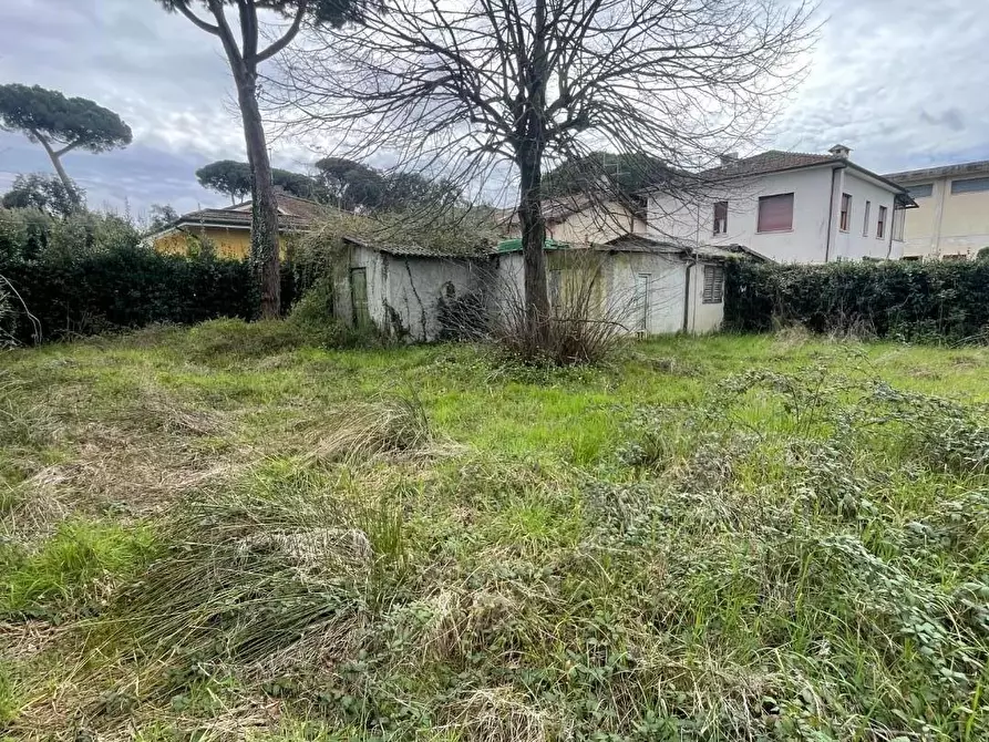 Immagine 2 di Terreno residenziale in vendita  a Pietrasanta