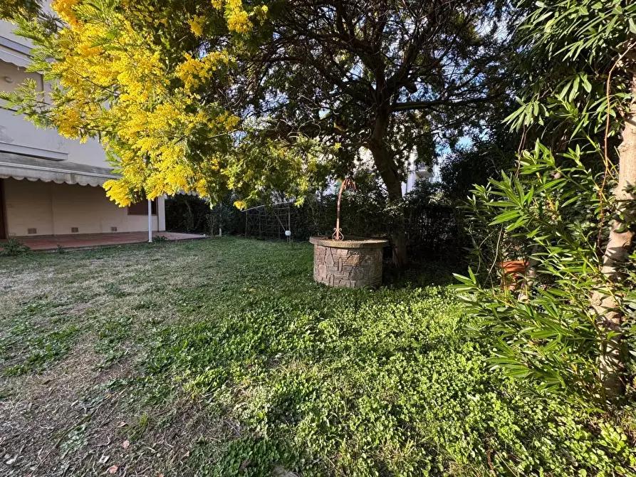 Immagine 36 di Appartamento in vendita  a Pisa