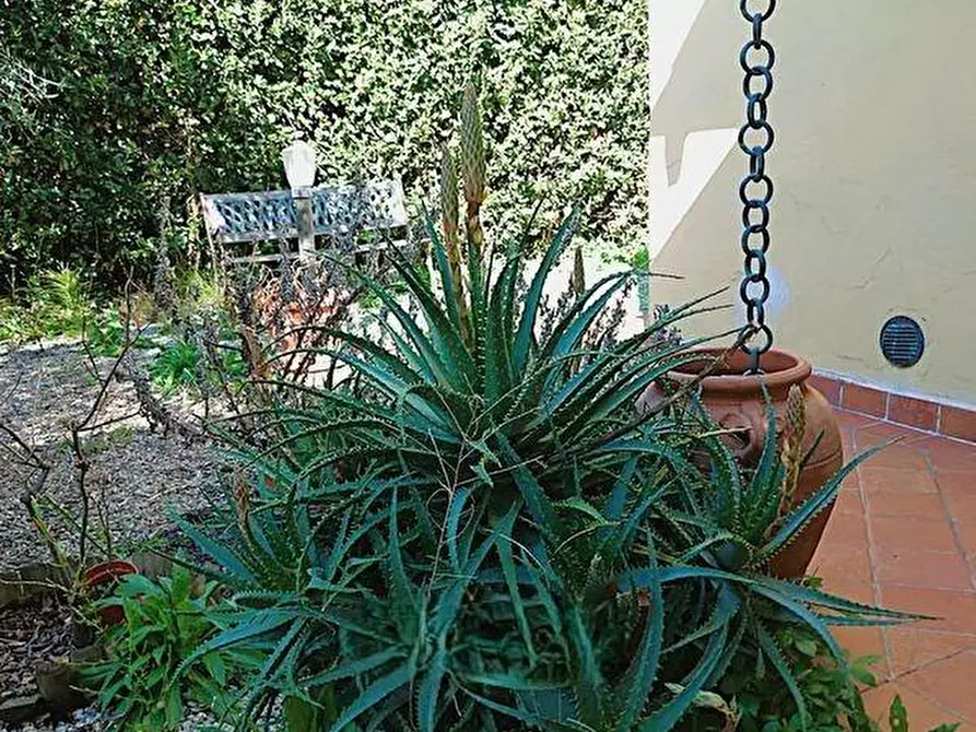 Immagine 14 di Villetta a schiera in vendita  a San Giuliano Terme