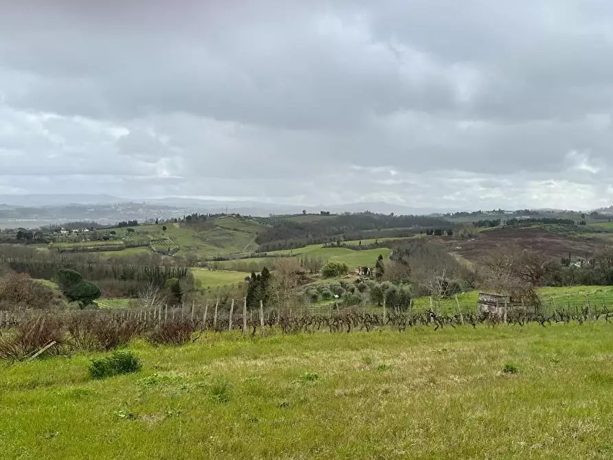 Immagine 37 di Appartamento in vendita  a Capannoli