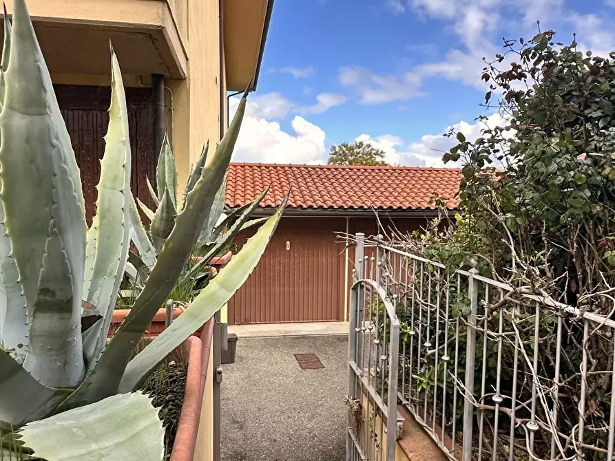 Immagine 16 di Appartamento in vendita  a Capannoli