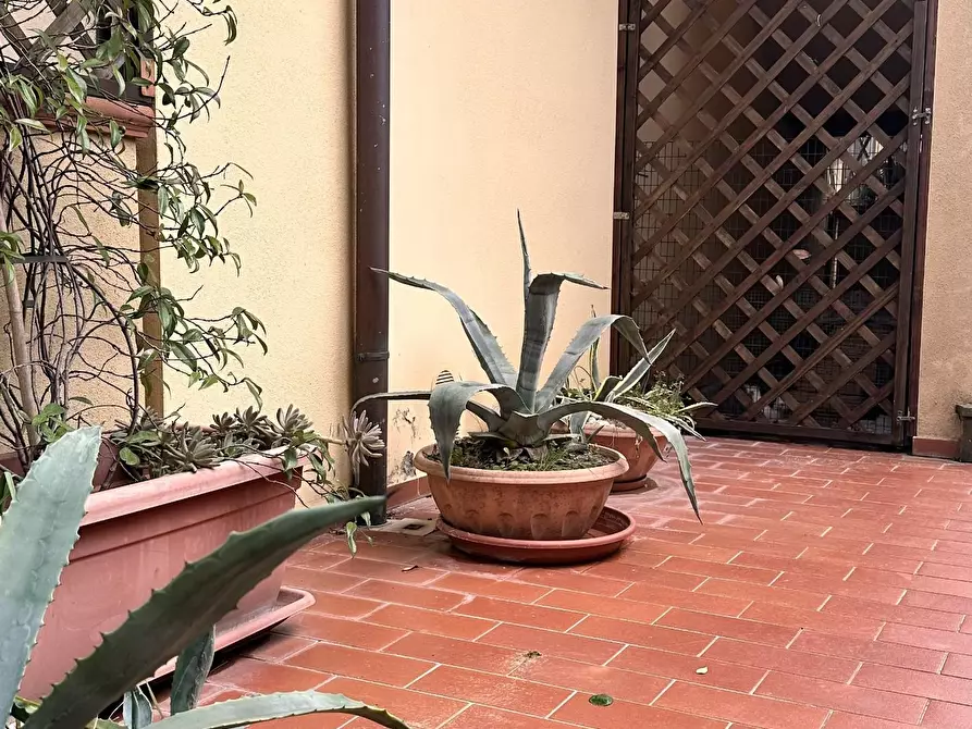 Immagine 18 di Appartamento in vendita  a Capannoli