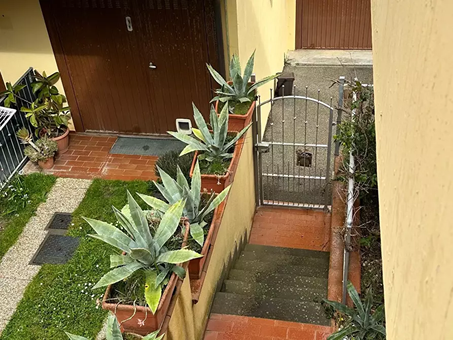 Immagine 34 di Appartamento in vendita  a Capannoli