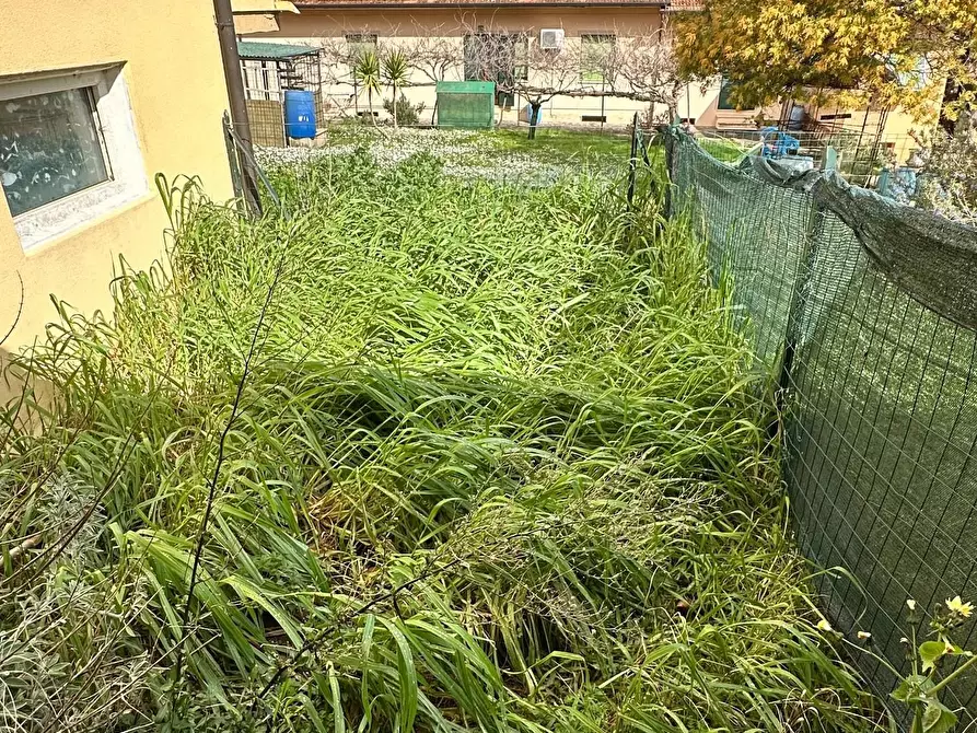 Immagine 38 di Appartamento in vendita  a Capannoli