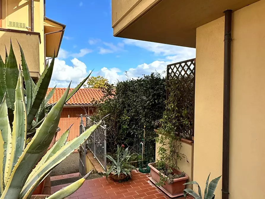 Immagine 15 di Appartamento in vendita  a Capannoli